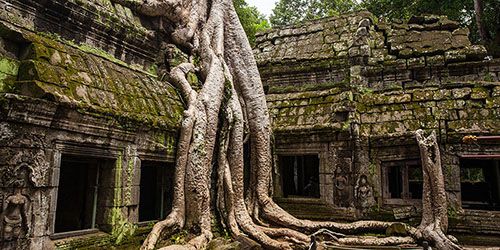 Cambodja