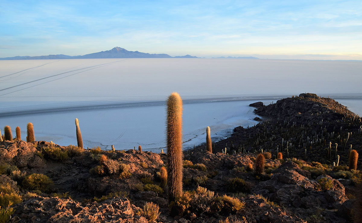 Eiland met cactussen bij Salar de Uyuni