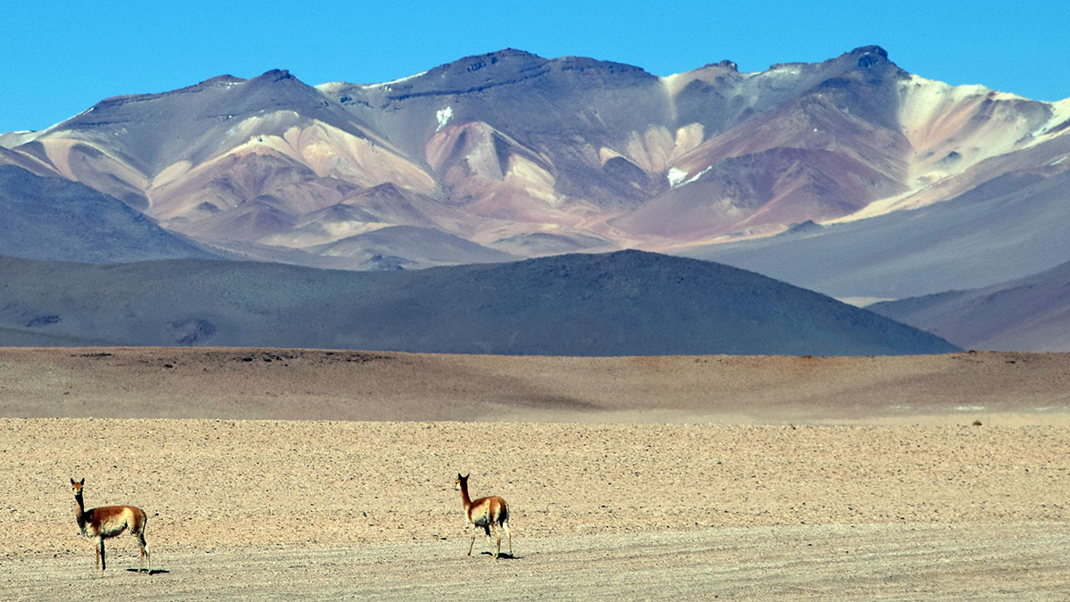 Sud Lipez, Bolivia