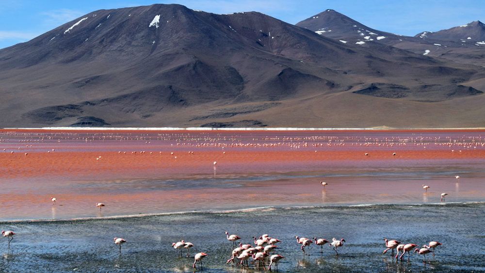 Sud Lipez, Bolivia