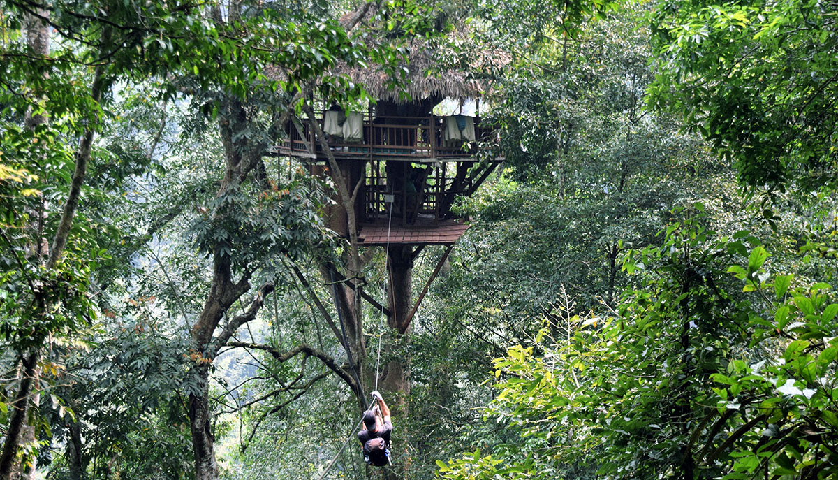 Deelnemer komt met zipline aan in boomhut van gibbon experience.