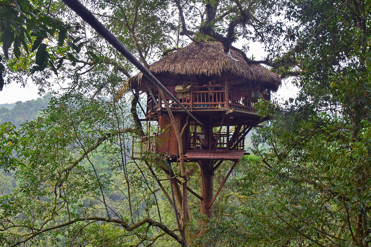 Boomhut van de gibbon experience in de jungle.