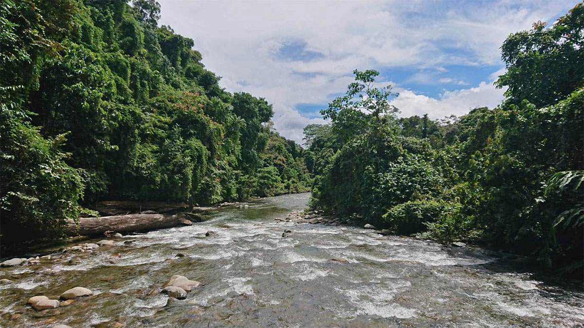 Wild stromende rivier in Maleisisch Borneo.