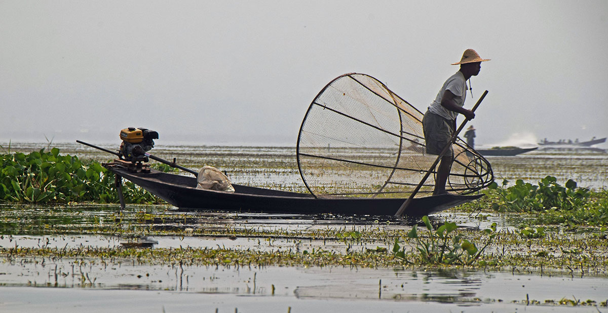 Traditionele visser op het Inle Lake in Myanmar.