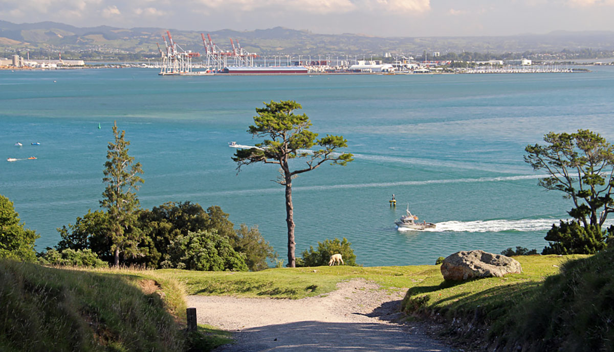 zicht op baai en haven bij Tauranga, Nieuw-Zeeland.