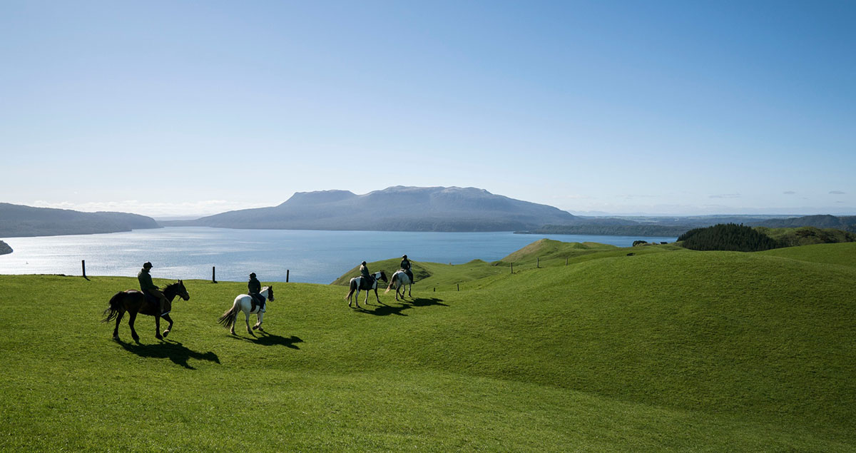 Paardrijders op groene vlakte bij Rotorua, Nieuw-Zeeland