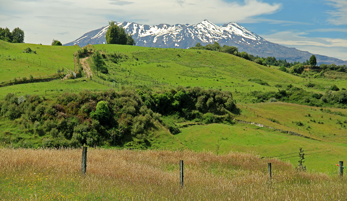 Groene bergweiden en besneeuwde bergtop bij Tongariro NP, Nieuw-Zeeland.