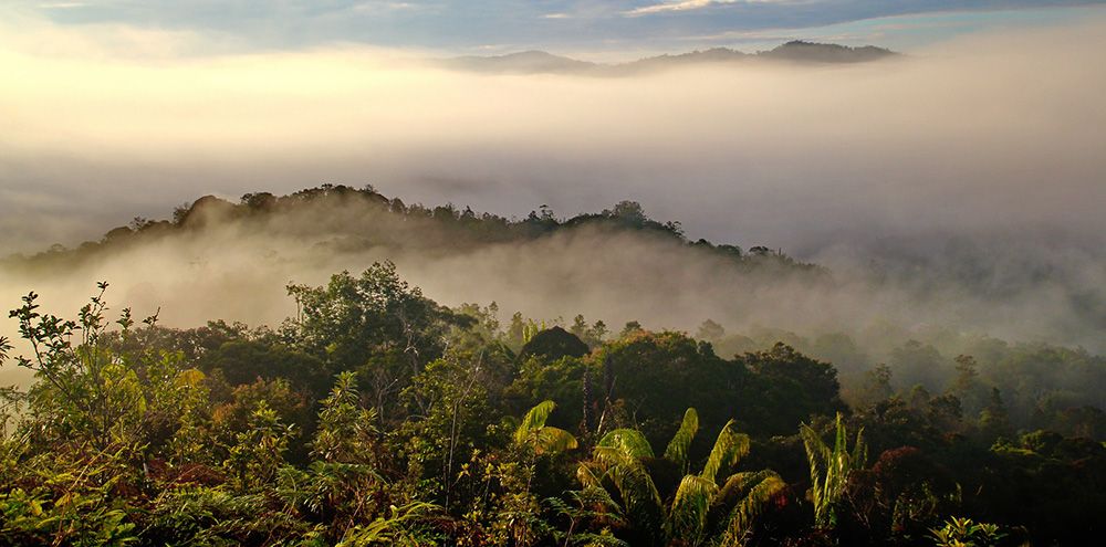 Sarawak, Maleisisch Borneo in Maleisië.