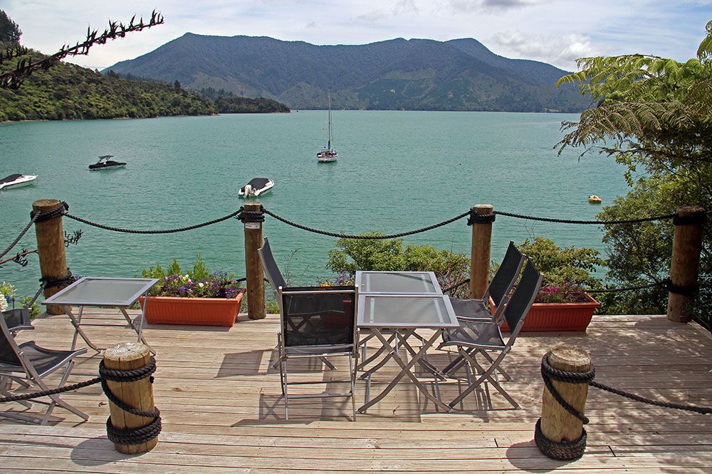 terras bij de marlborough sounds in Nieuw-Zeeland