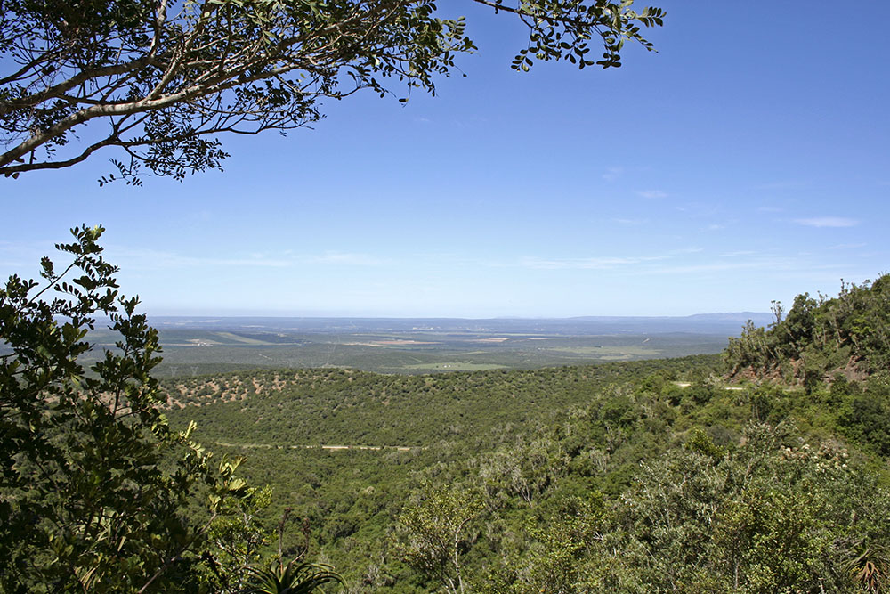 Heuvelachtig in Addo Elephant National Park
