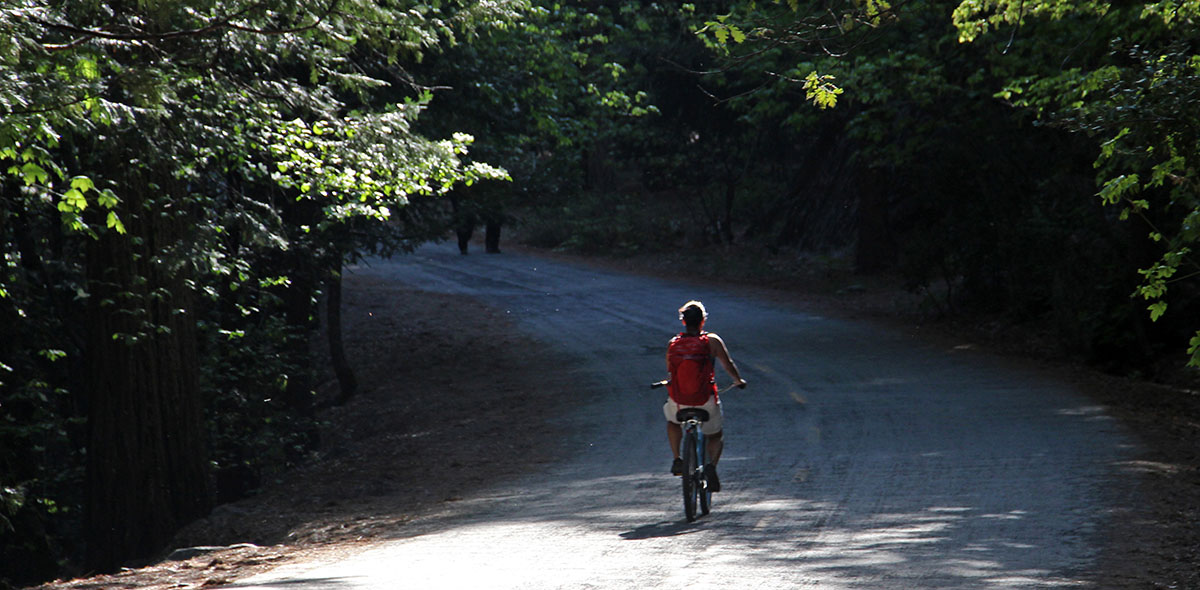 heerlijk fietsen in het Yosemite National Park