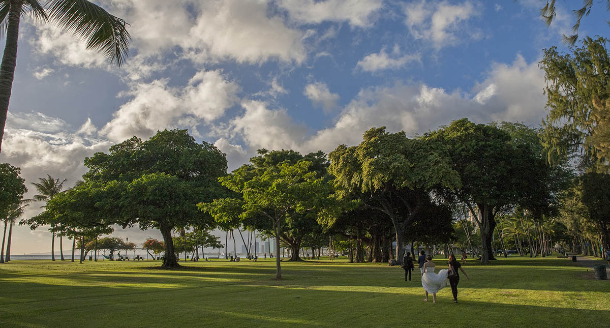 grijsopreis-verenigde-staten-highlight-hawaii-oahu-mobiel bruidspaar op Oahu, Hawaii