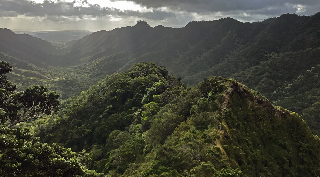 grijsopreis-verenigde-staten-highlight-hawaii-wandeling-mobiel wandeling op Oahu, Hawaii