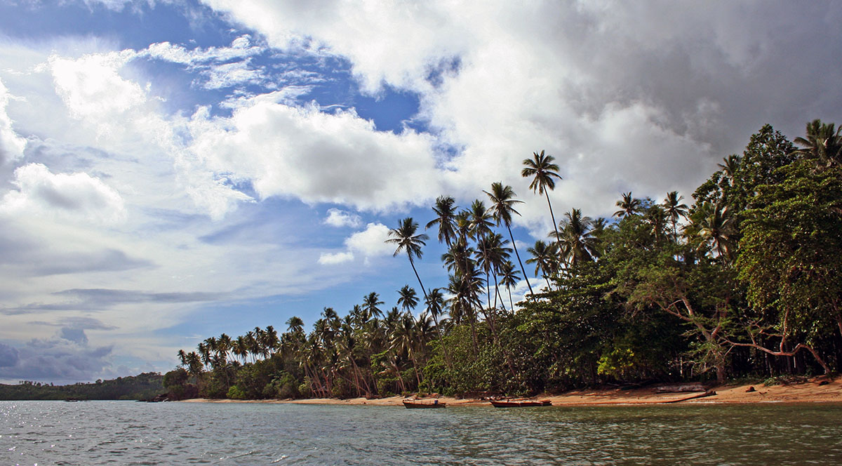 Kustlijn bij Banka in Sulawesi.