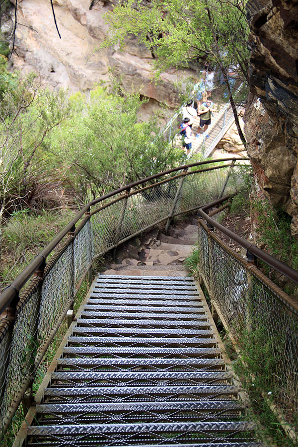 goed begaanbare trap in de Blue Mountains, Australië