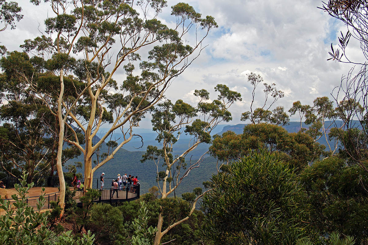 Uitzichtpunt bij de Blue Mountains, Australië