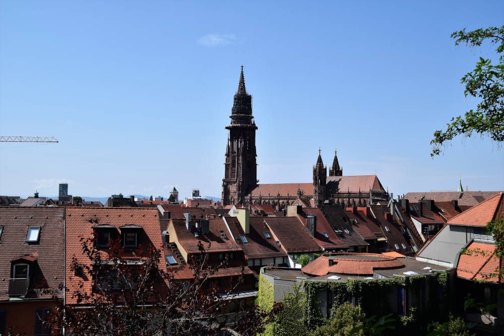 Uitzicht op de stad Freiburg en de Münster als herkenningspunt.