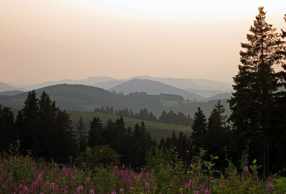grijsopreis-duitsland-highlight-sauerland-wandelen-1-mobiel
