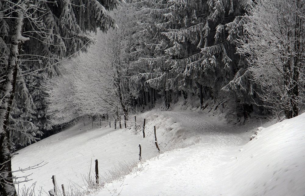 grijsopreis-duitsland-highlight-sauerland-wandelen-2-mobiel