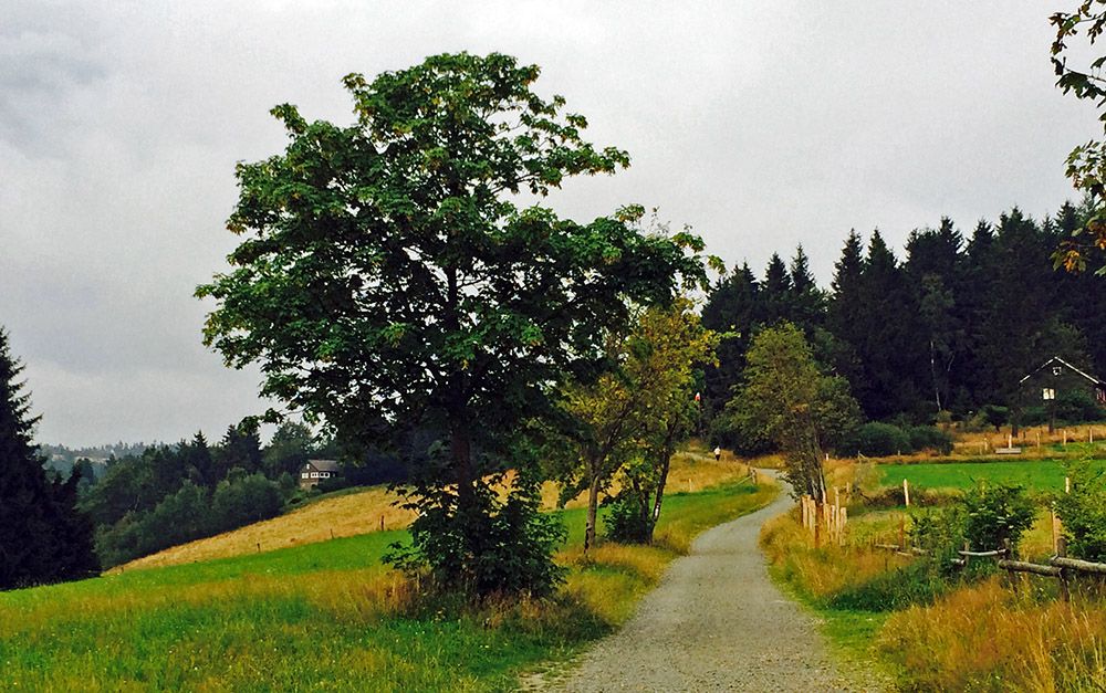 grijsopreis-duitsland-highlight-sauerland-wandelen-3-mobiel