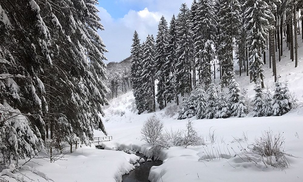 grijsopreis-duitsland-highlight-sauerland-wandelen-4-mobiel