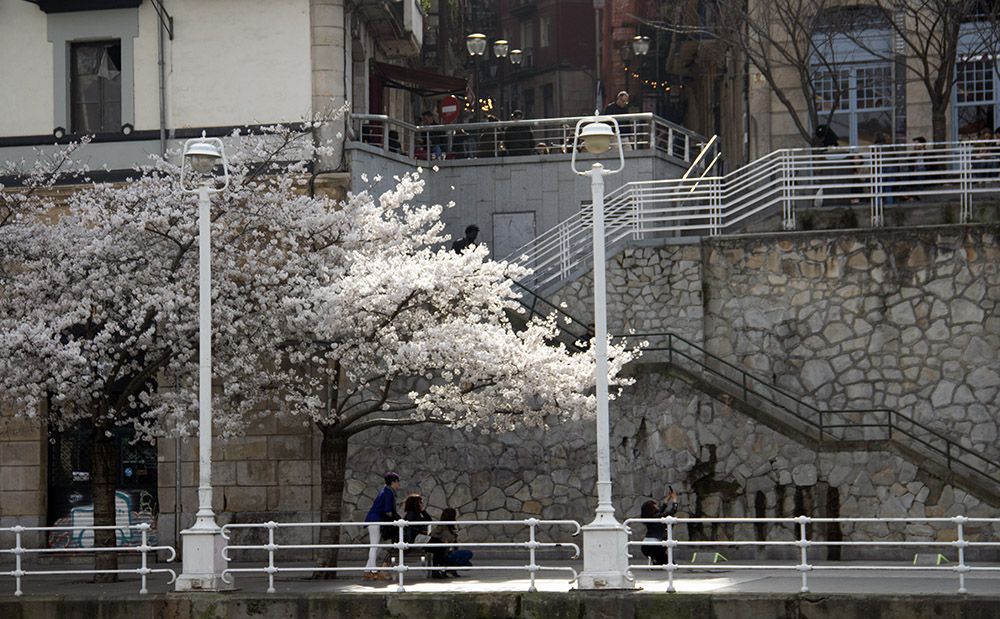 Bilbao, Spaans Baskenland