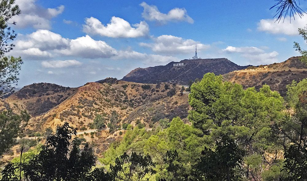 Uitzicht op Hollywood Sign vanuit het Griffith Park in Los Angeles