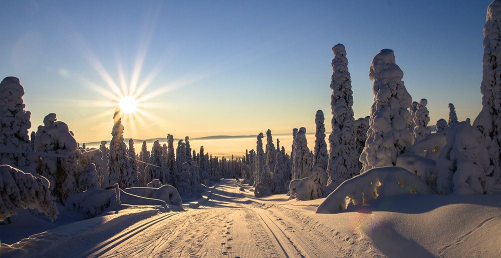 Sneeuwlandschap in Fins Lapland