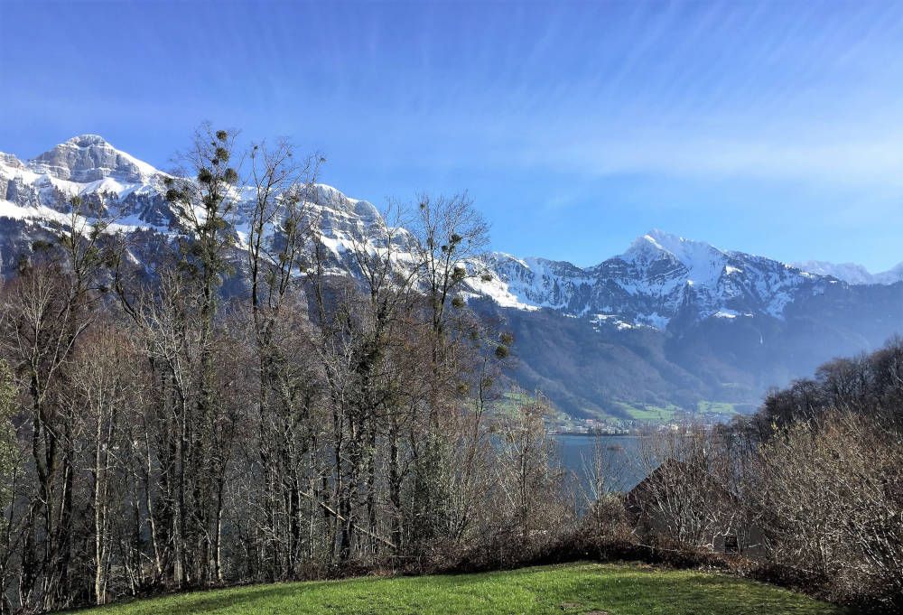 grijsopreis-zwitserland-meer2-mobiel Walensee in Zwitserland