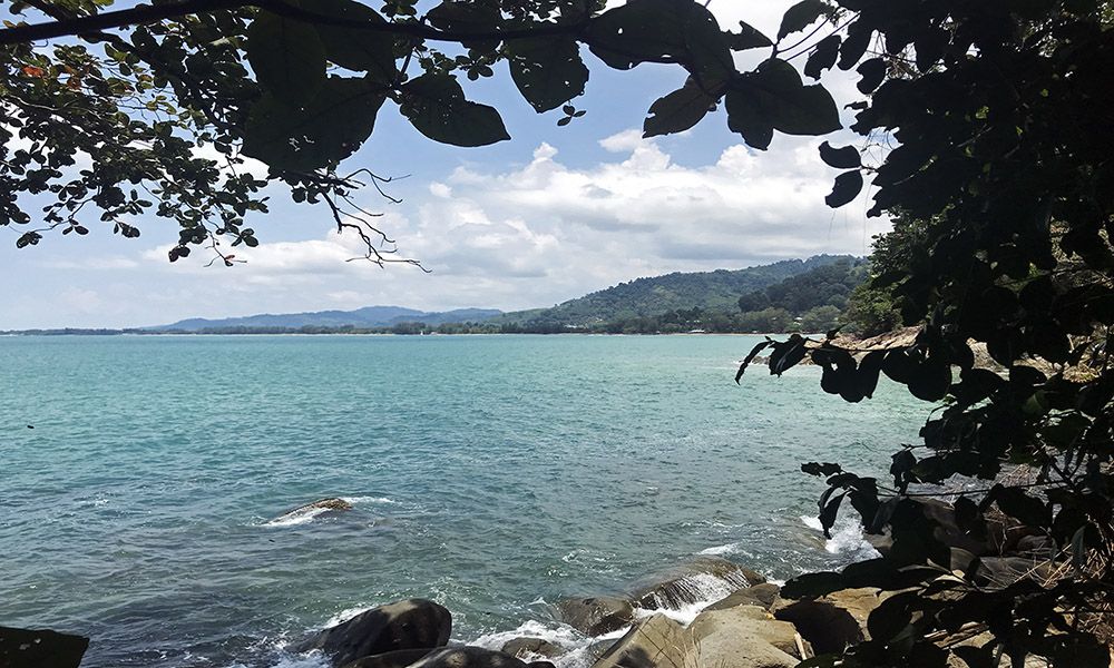 Nature trail langs de kust bij Khao Lak, Thailand