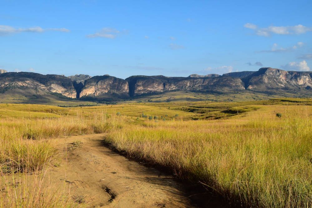 Savanne bij Isalo, Madagaskar