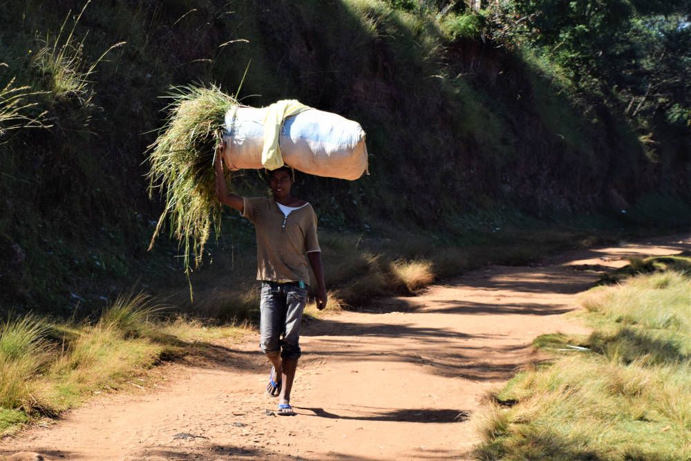 Kind met riet in Madagaskar