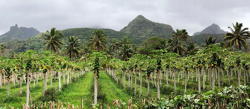 Binnenland van Rarotonga, Cookeilanden