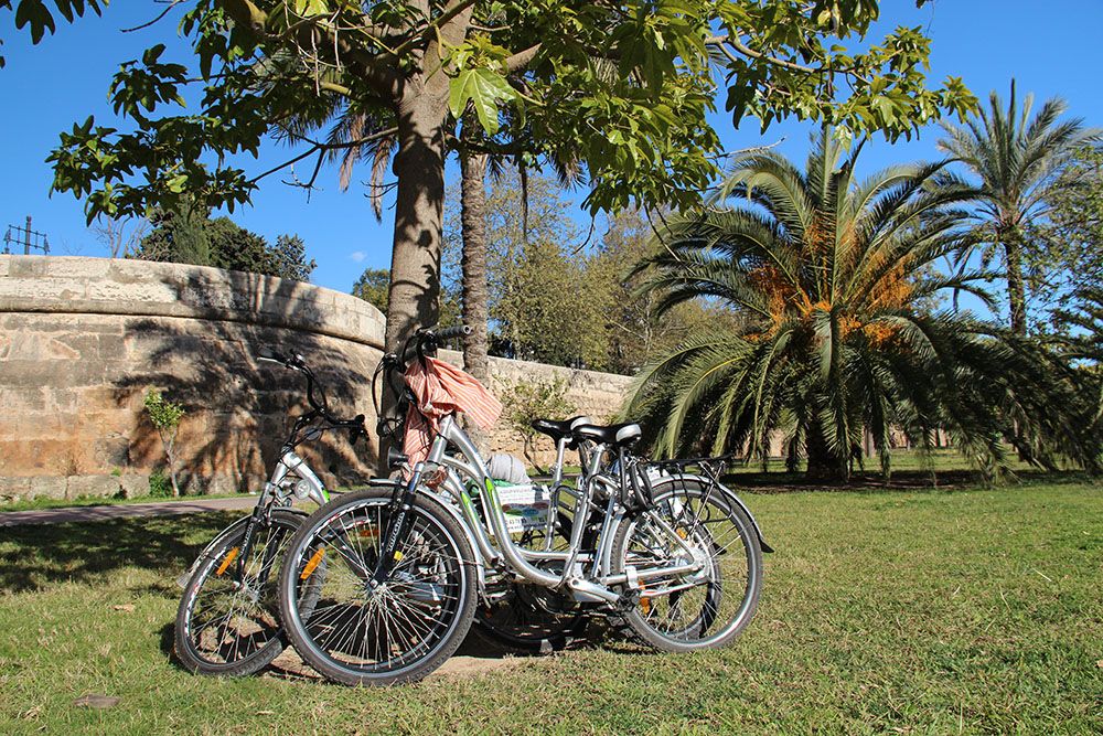 door Valencia kun je heerlijk fietsen