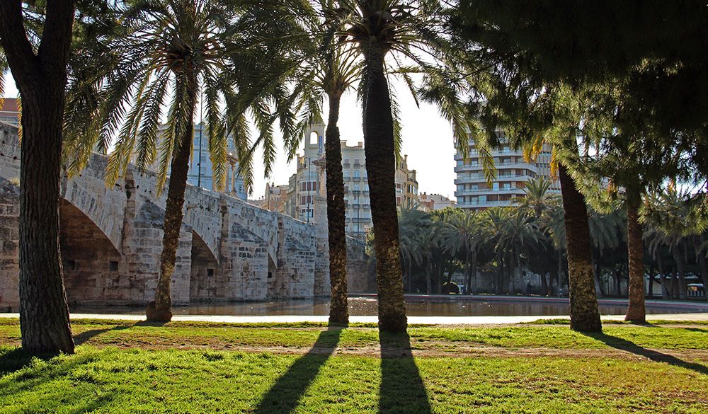 Turia park in Valencia