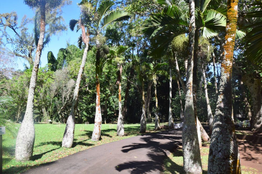 Pamplemousses Garden, Mauritius