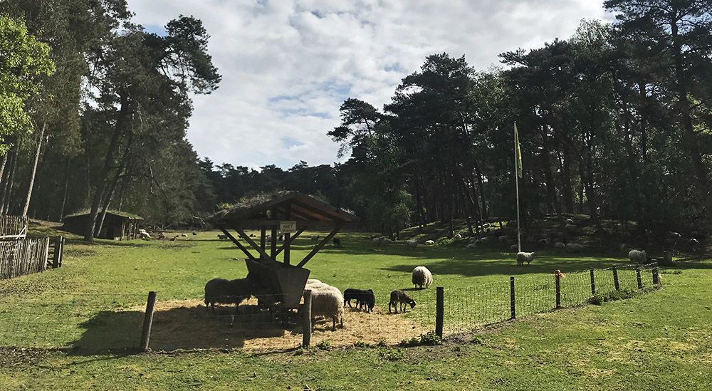 Schaapskooi bij Heidestein