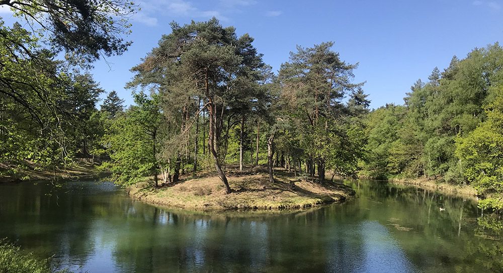 Vijver bij Heidestein