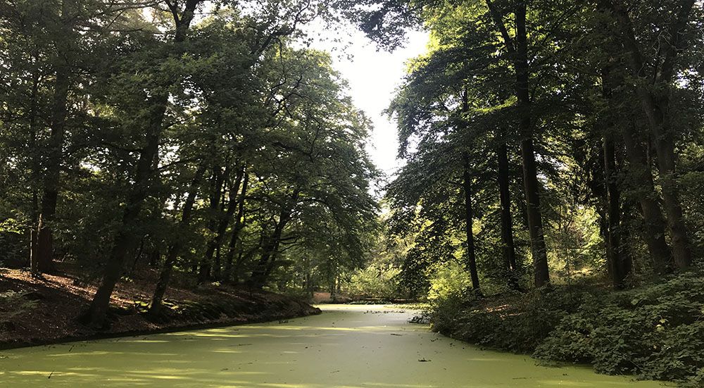 een van vele vijvers tijdens de wandeling naar de Kozakkenput