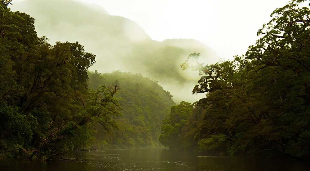 Doubtful Sound in Nieuw-Zeeland