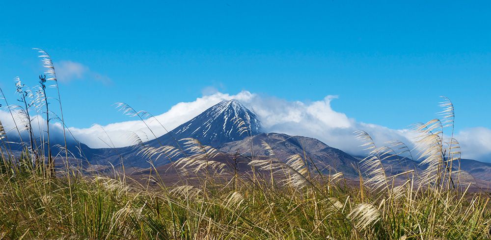 Tongariro National Park