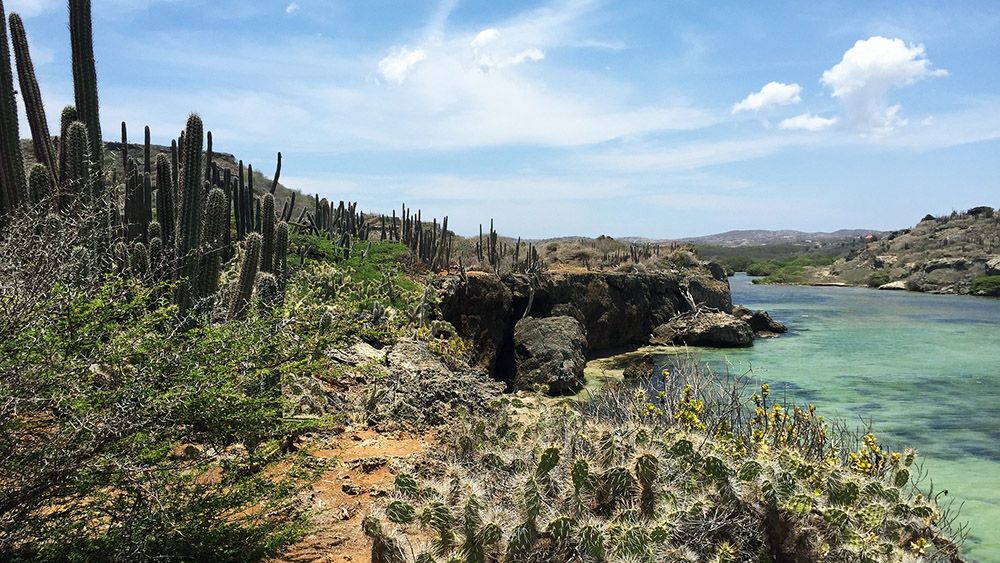 Christoffel National Park, Curaçao