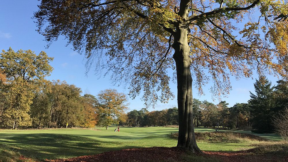 Wandeling door Beerschoten en het Panbos bij Zeist