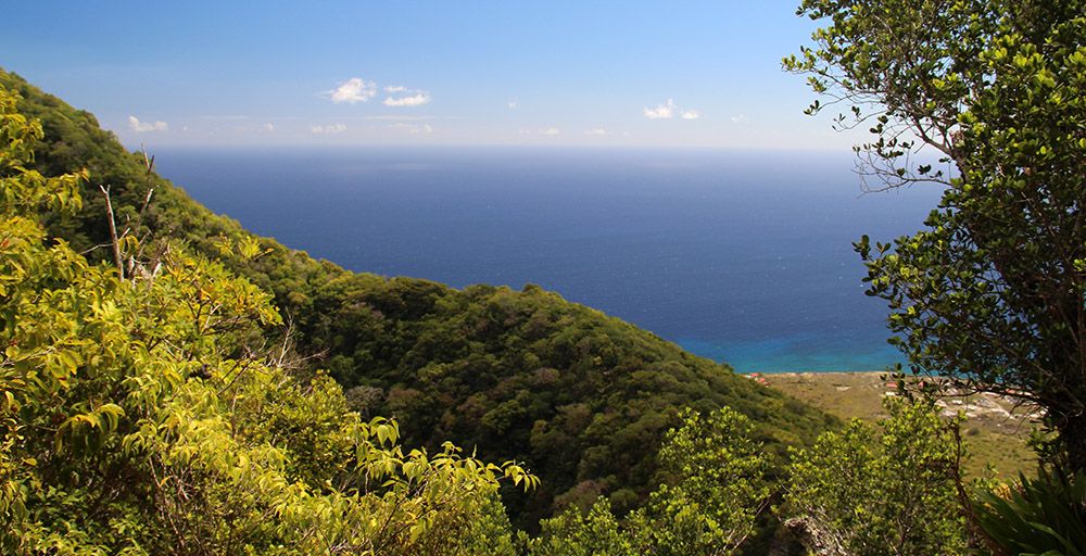 Quill krater, Statia