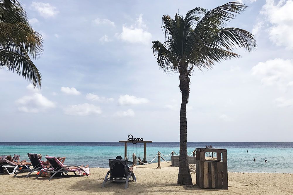 grijsopreis-caribisch-nederland-curacao-kokomo Kokomo