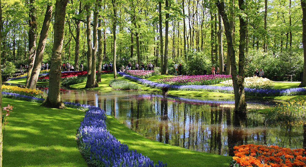 Keukenhof