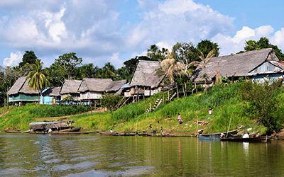 Het tropisch regenwoud bij Muyuna Lodge