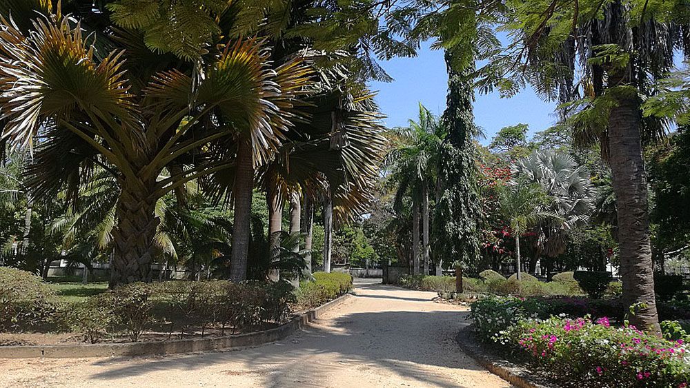 Dar es Salaam Botanical Gardens Ilala 6