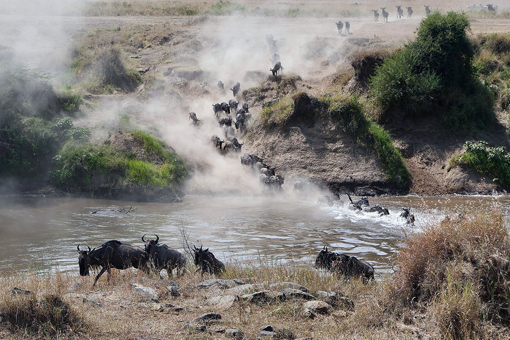 gnoetrek in Tanzania