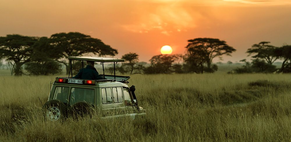 Safari in Tanzania